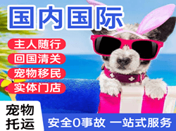 海西德令哈航空快递国际宠物托运 【国